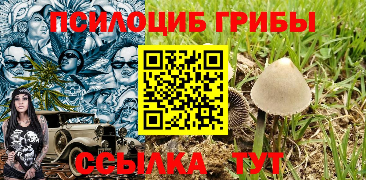 как найти   Вход с VPN  Долгопрудный  Псилоцибиновые грибы Magic Shrooms 