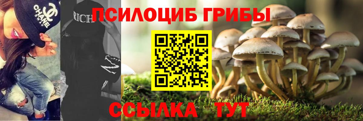 Галлюциногенные грибы GOLDEN TEACHER Долгопрудный